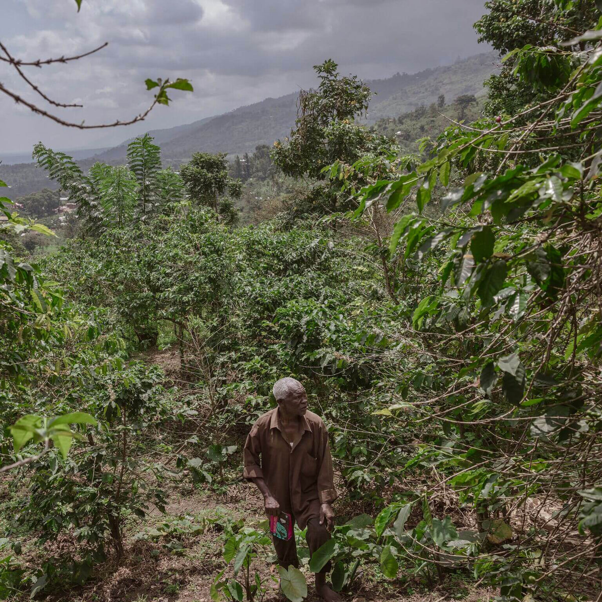 Congo (DRC)
